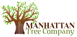 Manhattan Tree Company